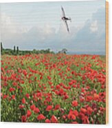Poppies And Silver Spitfire Wood Print
