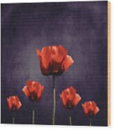 Poppies Fun 01b Wood Print