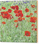 Poppy Field Wood Print