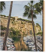 Port De Fontvieille In Monaco Wood Print