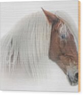 Portrait Of A Belgian Horse Wood Print