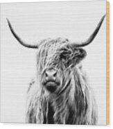 Portrait Of A Highland Cow Wood Print