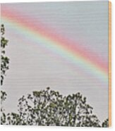 Portrait Of A Rainbow Wood Print