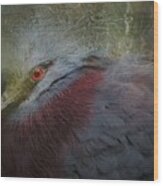 Portrait Of Victoria Crowned Pigeon Wood Print