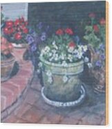 Potted Flowers Wood Print