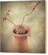 Potted Succulent Wood Print