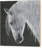 Power Horse Wood Print