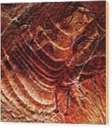 Prehistoric Bird Wood Print