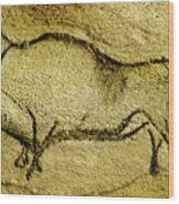 Prehistoric Bison 2 - La Covaciella Wood Print