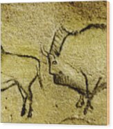 Prehistoric Bison - La Covaciella Wood Print