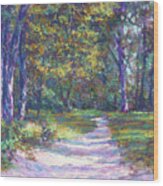 Presque Isle Path Wood Print