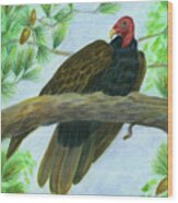 Pretty Redhead Turkey Vulture Wood Print