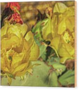 Prickly Pear Blossoms H1815 Wood Print