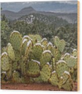 Cactus Country Wood Print