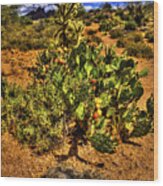 Prickly Pear In Bloom With Brittlebush And Cholla For Company Wood Print