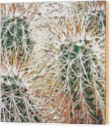 Prickly Protection Wood Print