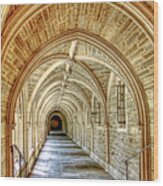 Princeton University Courtyard Arches Wood Print