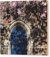 Princeton University Door And Magnolia Wood Print