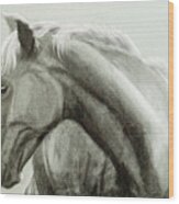 Profile Of A Horse Wood Print