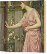 Psyche Entering Cupid's Garden Wood Print