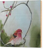 Purple Finch Wood Print