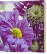 Purple Flower In Cold Light. Wood Print