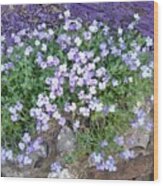 Purple Flower Textured Photo 1028b Wood Print