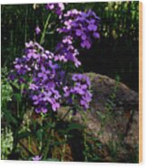 Purple Flowers Wood Print