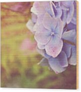Purple Hydrangea Wood Print