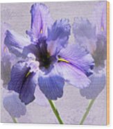 Purple Irises Wood Print