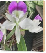 Purple Orchid Wood Print