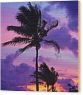 Purple Palm Sunrise Wood Print