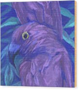 Purple Parrots Wood Print