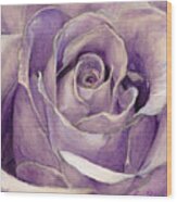 Purple Rose Wood Print