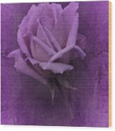 Purple Rose Of November No. 2 Wood Print