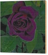 Purple Rose Tapestry Wood Print
