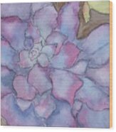 Purple Succulent Wood Print