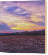 Purple Sunset At Retzer Nature Center Wood Print