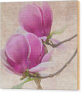 Purple Tulip Magnolia Wood Print