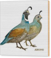 Quail Pair Wood Print