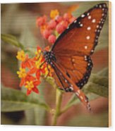 Queen Butterfly On Flowers Wood Print