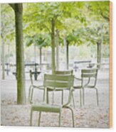 Quiet Moment At Jardin Luxembourg Wood Print