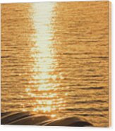 Quinault Sunset Retake Wood Print