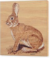 Rabbit Wood Print