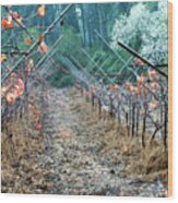 Rain In The Vineyard Wood Print