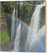 Rainbow At Iguazu Falls Wood Print