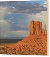 Rainbow At Monument Valley Wood Print