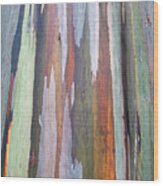 Rainbow Bark Of Mindano Gum Tree Wood Print