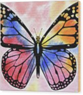 Rainbow Butterfly Wood Print
