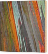 Rainbow Eucalyptus Tree Wood Print